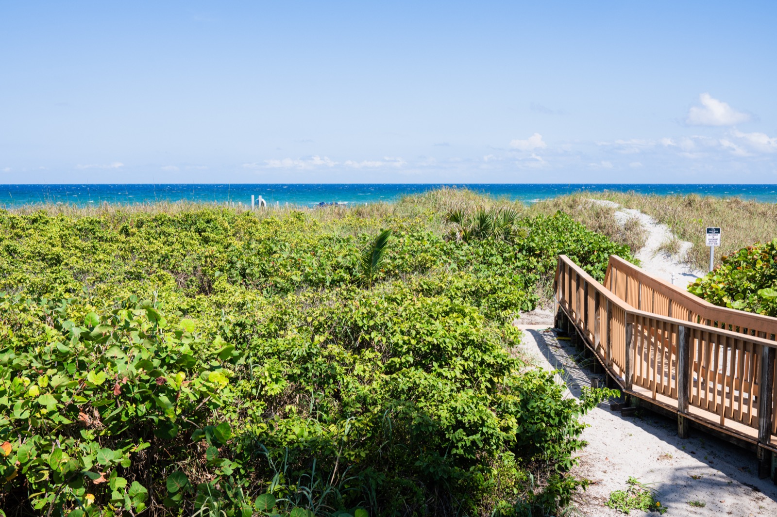 Wooden boardwalk path through sea grapes and coastal dunes leading to the beach at the Delray Beach Club